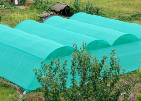 Waterproof Tarpaulins