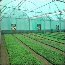Custom Size Tarpaulin Solutions