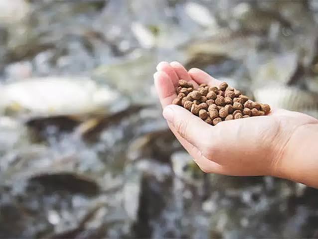 Suitable for Various Fish Species
