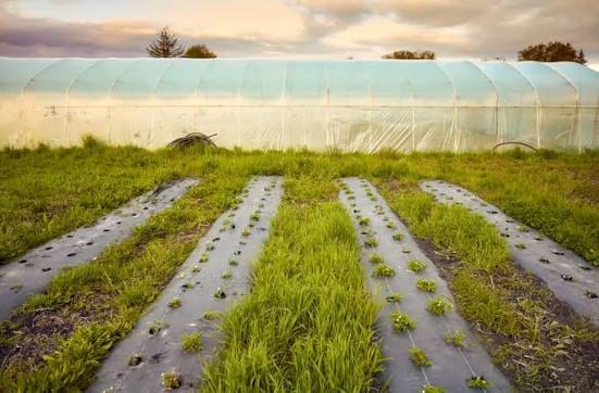 Water Efficient Farming